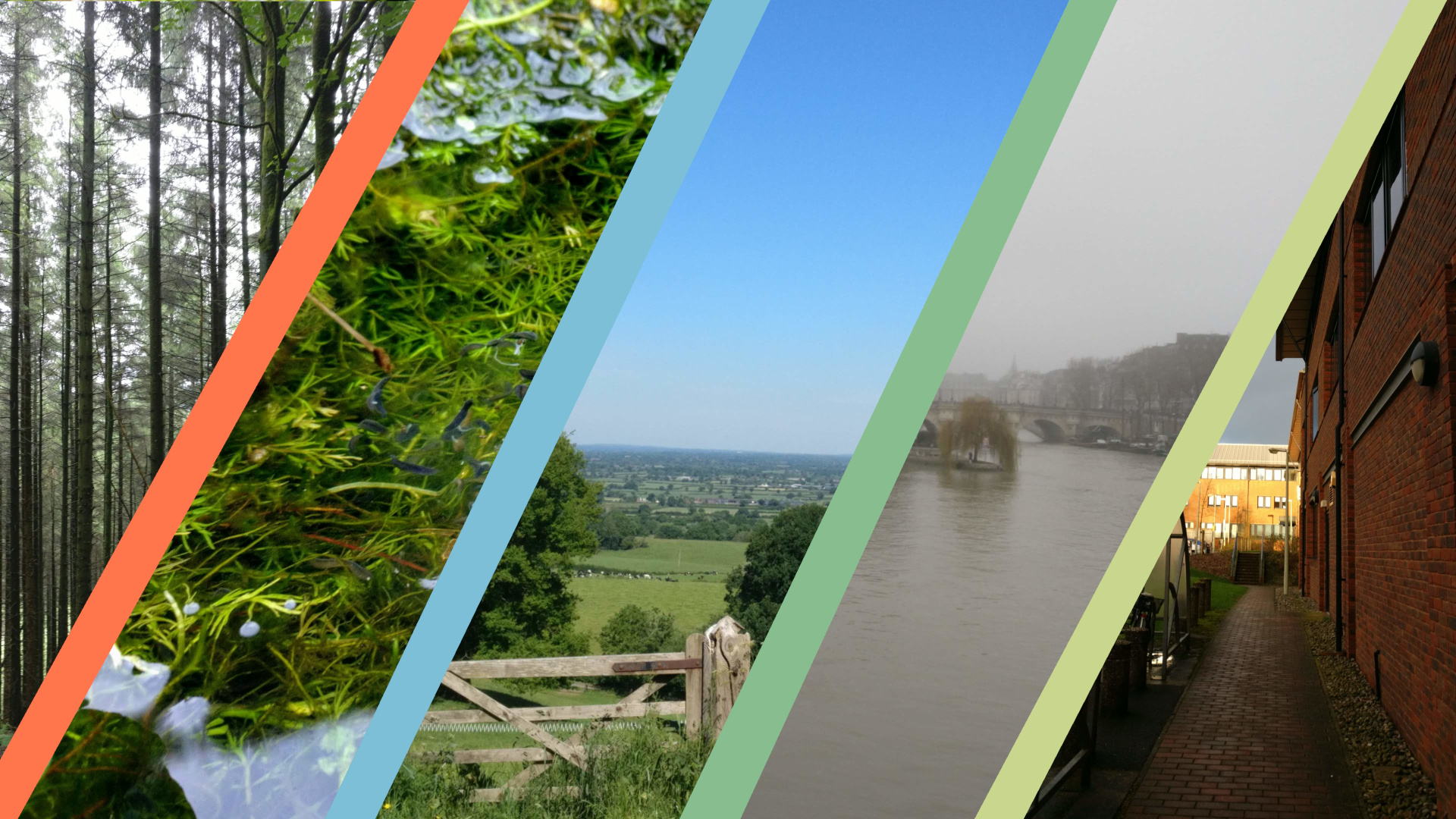 A collection of themes